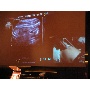 MSZNUT 2011. Pécs - Live Scanning 16.