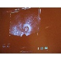 MSZNUT 2011. Pécs - Live Scanning 34.