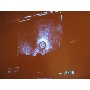 MSZNUT 2011. Pécs - Live Scanning 35.
