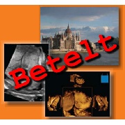 V. Nemzetközi Gyakorlati Ultrahang Tanfolyam